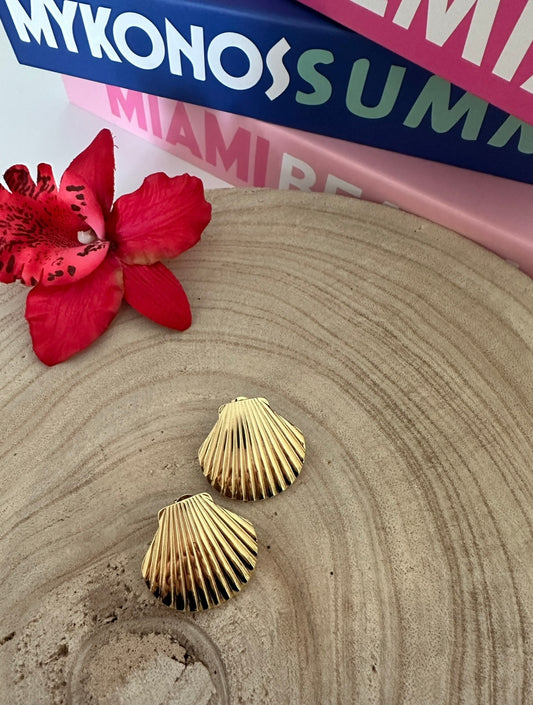 Boucles d’oreilles coquillages