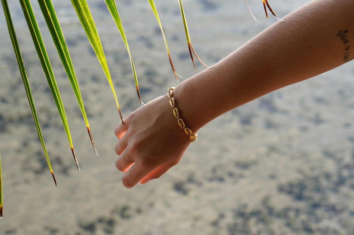 Bracelet coquillage