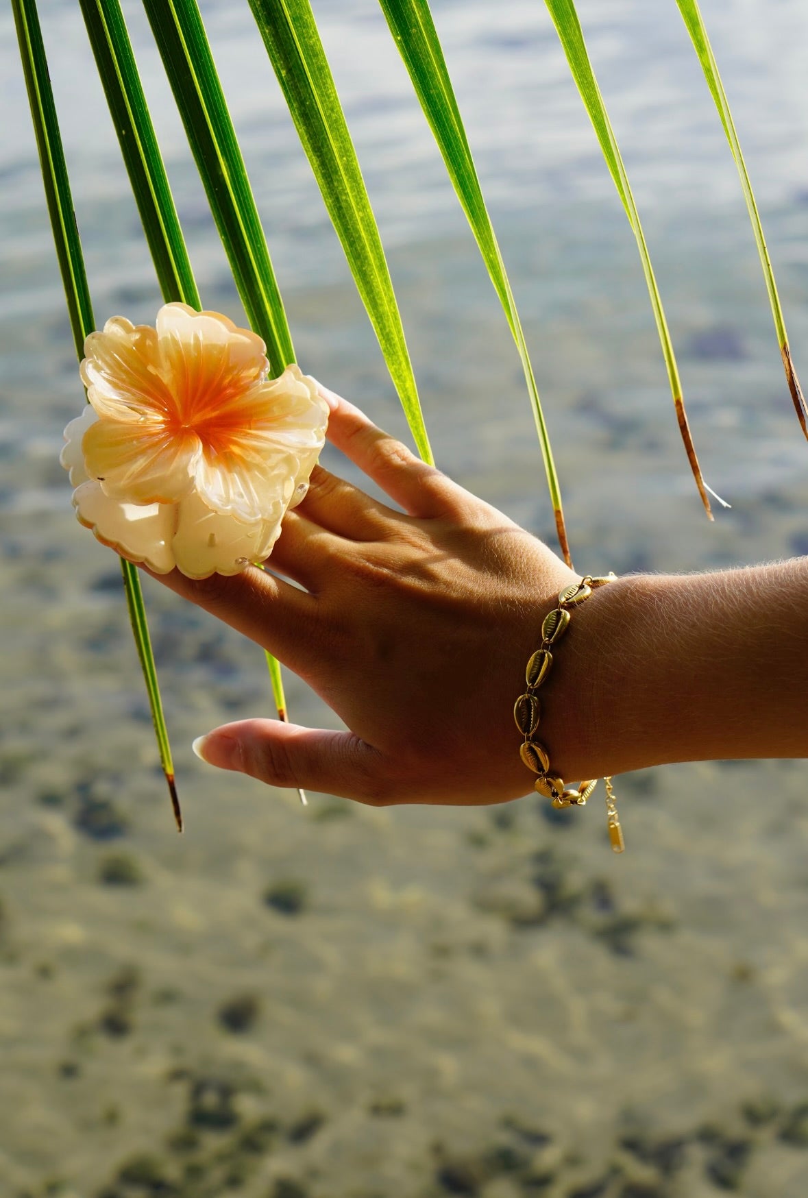 Bracelet coquillage